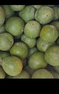 خرید گردو