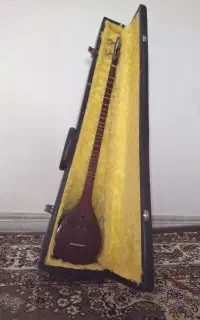 سه تار به همراه کیف