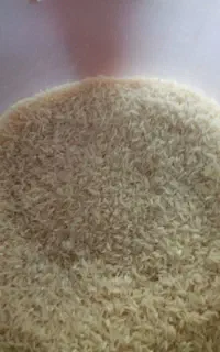 برنج فرنج سوزنی ۷۵ روزه امساله