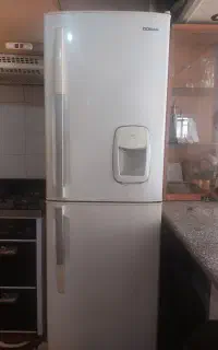 یخپال دونار