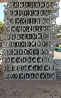 سبد میوه
