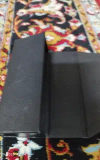 پیدا شده