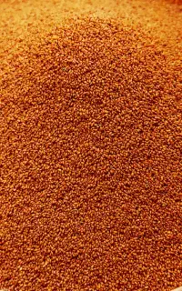 خاکشیر اعلا تمیز و پاک شده(۱۵۰کیلو)