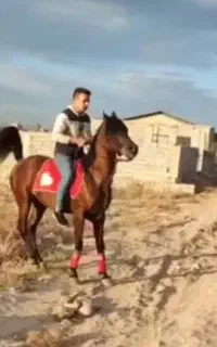 نریان عرب دو سر