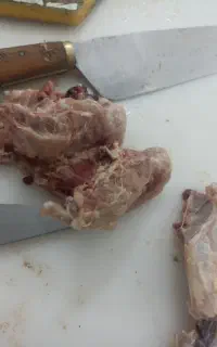 ضایعات مرغ