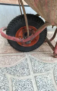 فرغون