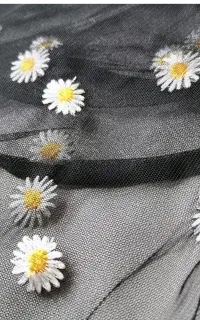 روسری گمشده