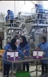بسته بندی حبوبات