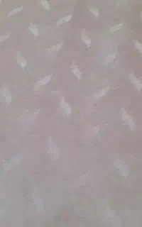 موکت ۵۰ متر