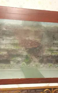 اکواریوم