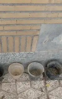 گلدان کوچک