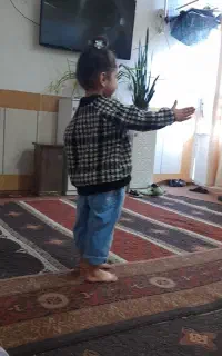 یک جفت گلیم فرش ۹متری