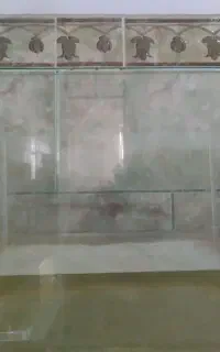 قیمت 800