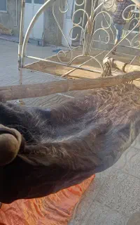 مشکه فروشی