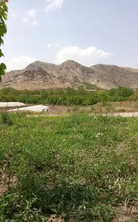سرکارگر هستم تمامی کار های کشاورزی