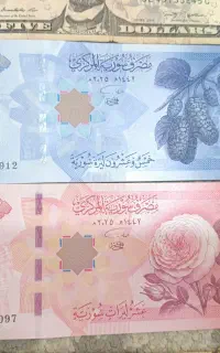 فروش انواع و اقسام اسکناس