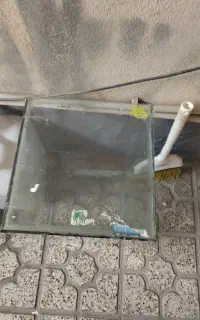 اکواریوم