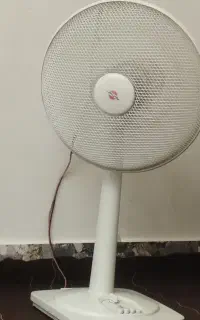 پنکه