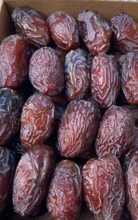 کود نخل