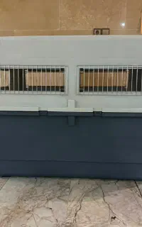 باکس سگ نژاد بزرگ