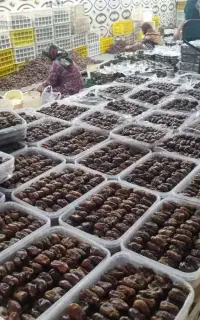 خرمای کبکاب دشتستان بوشهر ممتاز و درجه یک