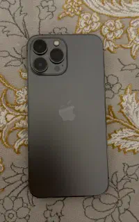 13 pro max