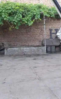 نیازمند شاگرد مکانیکی