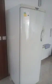 فریزر امرسان