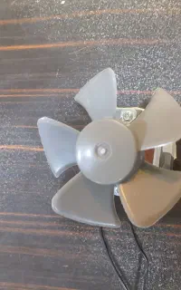 فن کوچک