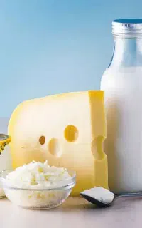 دوغ ،ماست و انواع لبنیات ویژه مراسمات