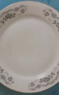ظروف چینی