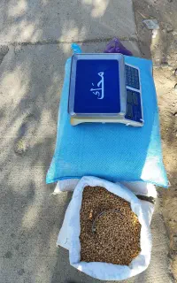 نخود درجه یک پزا و پاک شده