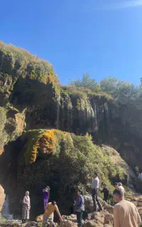 به یک نفر باغبان نیازمندیم