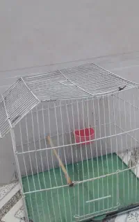 قفس پرنده