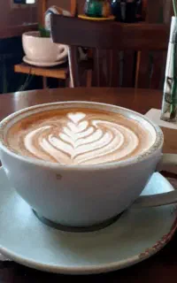 تفسیر انواع فال تاروت ، قهوه ، شمع ، نخود ، دارچین