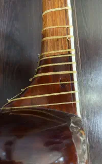 تار حرفه ای