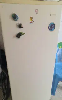 یخچال آزمایش