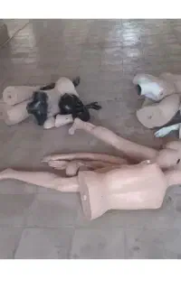 مانکن زنانه ومردانه دونه ای پانصد