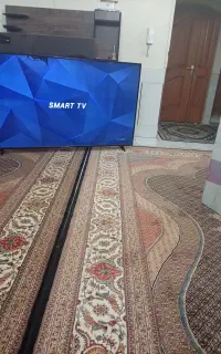 تولوزیون