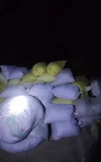 پوست بادام