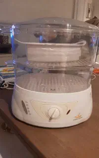 بخار پز