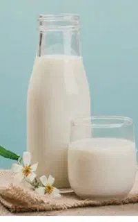 ماست میش و گاومیش روغن میش