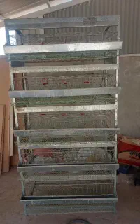 قفسه بلدرچین