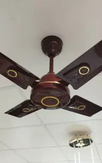پنکه سقفی پره کوتاه هندی اصل آکبند