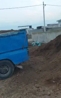 کودحیوانی خشک پوسیده