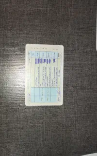 کیف کولی بامدارک گمشده