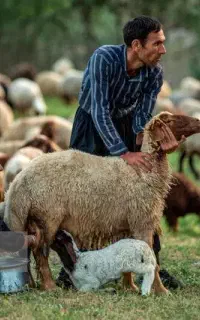 چوپان عشایری با خانواده