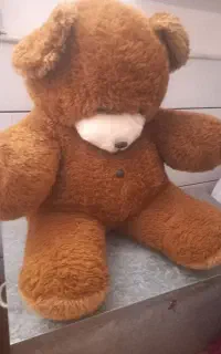 بیل ببر ۳۰۰
