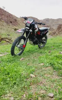 تریل روان اصلی