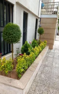 خدمات‌باغبانی سرویس درتمام نقاط تهران باغچه گلدون